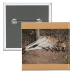 Mama Kangaroo with Joey in Pouch Pinback Button