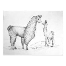 Mama Llama and Cria Post Cards