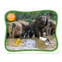 Mama Mirabelle -- Bath Time! Poster posters