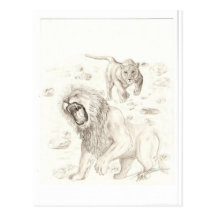 Mama & Papa Lion Post Cards