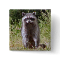 Mama Raccoon Button