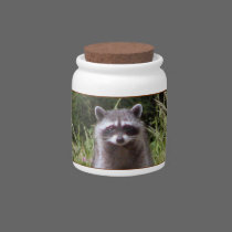 Mama Raccoon candy jars