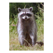 Mama Raccoon Custom Invitations