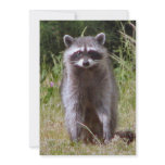 Mama Raccoon Custom Invitations