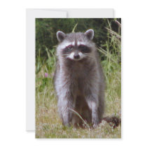 Mama Raccoon Custom Invitations