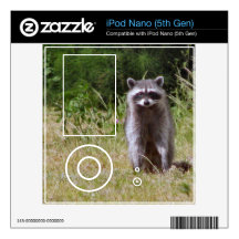 Mama Raccoon iPod Nano 5G Skin