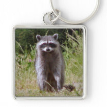 Mama Raccoon Key Chains