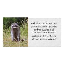 Mama Raccoon Photo Greeting Card