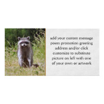 Mama Raccoon Photo Greeting Card