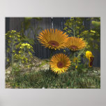 Mama's Pleasure Garden posters