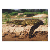 Mamba (Crocodile) cards by HLBeach Mamba (Crocodile) cards