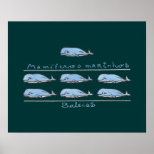 mamíferos marinhos - baleias poster