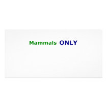 Mammals ONLY Photo Card