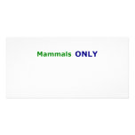 Mammals ONLY photo cards