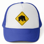 Mammoth Crossing hats