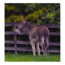 Mammoth Donkey in oil posters by itsadonkeycom Mammoth Donkey in oil posters