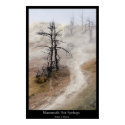 Mammoth Hot Springs  posters