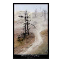 Mammoth Hot Springs posters by apple0jack Mammoth Hot Springs posters