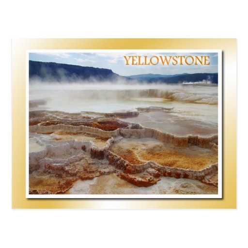 Mammoth Hot Springs, Yellowstone National Park Postcard Zazzle