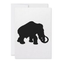 Mammoth Announcement