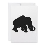 Mammoth Announcement