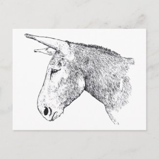 Mammoth Jack Donkey postcard