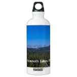 Mammoth Lakes 2 SIGG Traveler 0.6L Water Bottle