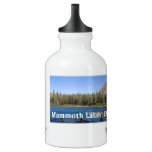 Mammoth Lakes SIGG Traveler 0.3L Water Bottle