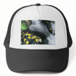 Mammoth Mountain Falls hats