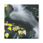 Mammoth Mountain Falls Fridge Magnets