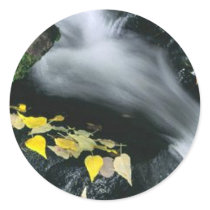 Mammoth Mountain Falls stickers