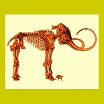 Mammoth Skeleton and Mouse posters
