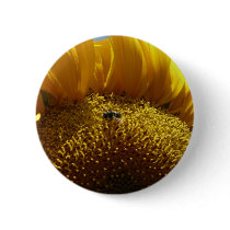mammoth sunflower 2 buttons by pinkypetals mammoth sunflower 2 buttons