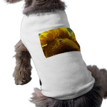 mammoth sunflower 2 pet clothing