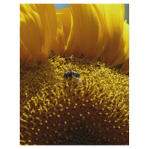 mammoth sunflower 2 flyers by pinkypetals mammoth sunflower 2 flyers