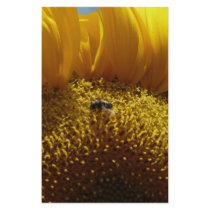mammoth sunflower 2 stationery by pinkypetals mammoth sunflower 2 stationery