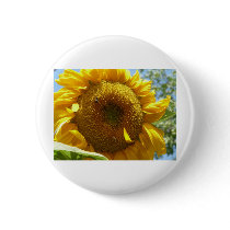 mammoth sunflower buttons by pinkypetals mammoth sunflower buttons