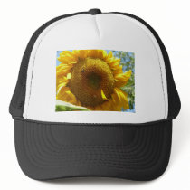 mammoth sunflower hats