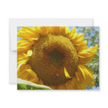 mammoth sunflower custom invitation