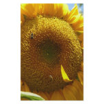 mammoth sunflower stationery