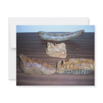 mammoth teeth tusk tip invitations by kotzradio mammoth teeth tusk tip invitations