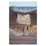 mammoth teeth tusk tip stationery paper