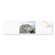 mammoth tooth in alaska 09 bumper stickers by kotzradio mammoth tooth in alaska 09 bumper stickers