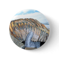 mammoth tooth in alaska 09 buttons by kotzradio mammoth tooth in alaska 09 buttons
