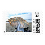 mammoth tooth in alaska 09 postage
