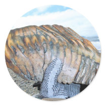 mammoth tooth in alaska 09 stickers