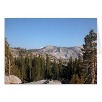 Mammoth trees cards