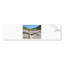 mammoth tusk bumper stickers by kotzradio mammoth tusk bumper stickers