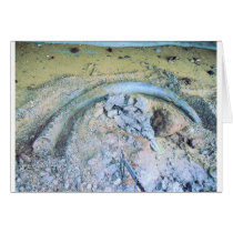 mammoth tusk in kotz ak cards by kotzradio mammoth tusk in kotz ak cards