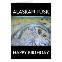 mammoth tusk in kotz ak cards by kotzradio mammoth tusk in kotz ak cards